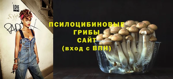 стаф Алзамай