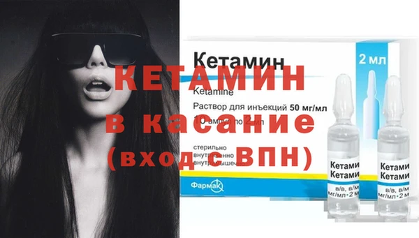 стаф Алзамай