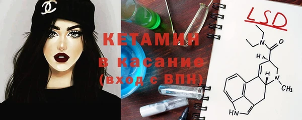 стаф Алзамай