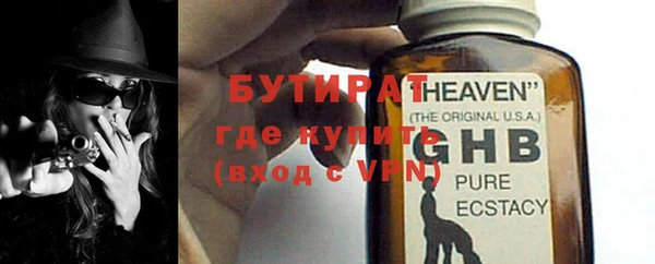 стаф Алзамай