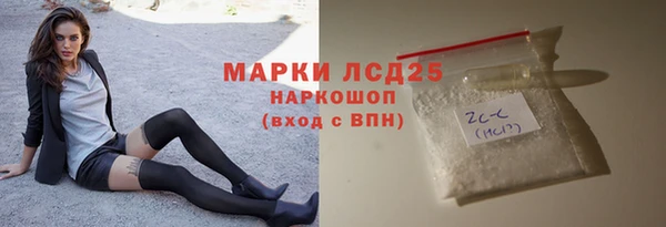 стаф Алзамай