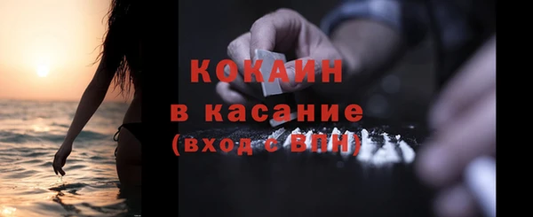стаф Алзамай