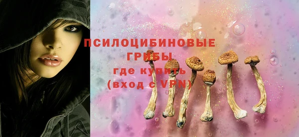 spice Алексеевка